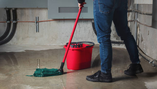 Best Water damage restoration near me  in Blandon, PA