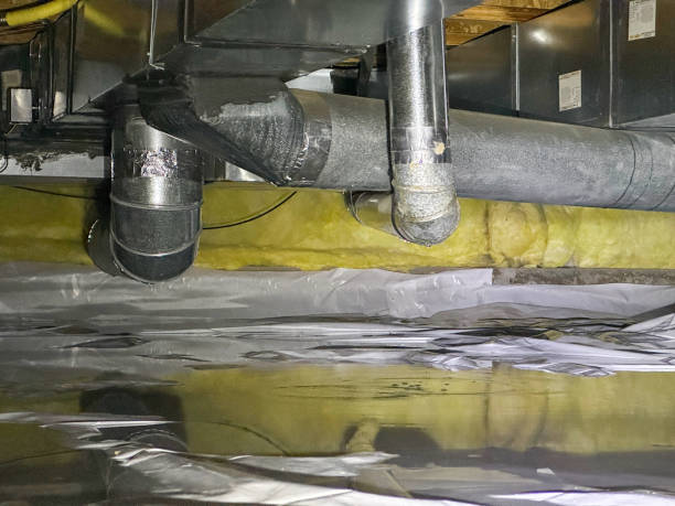 Best Water damage restoration mold remediation  in Blandon, PA